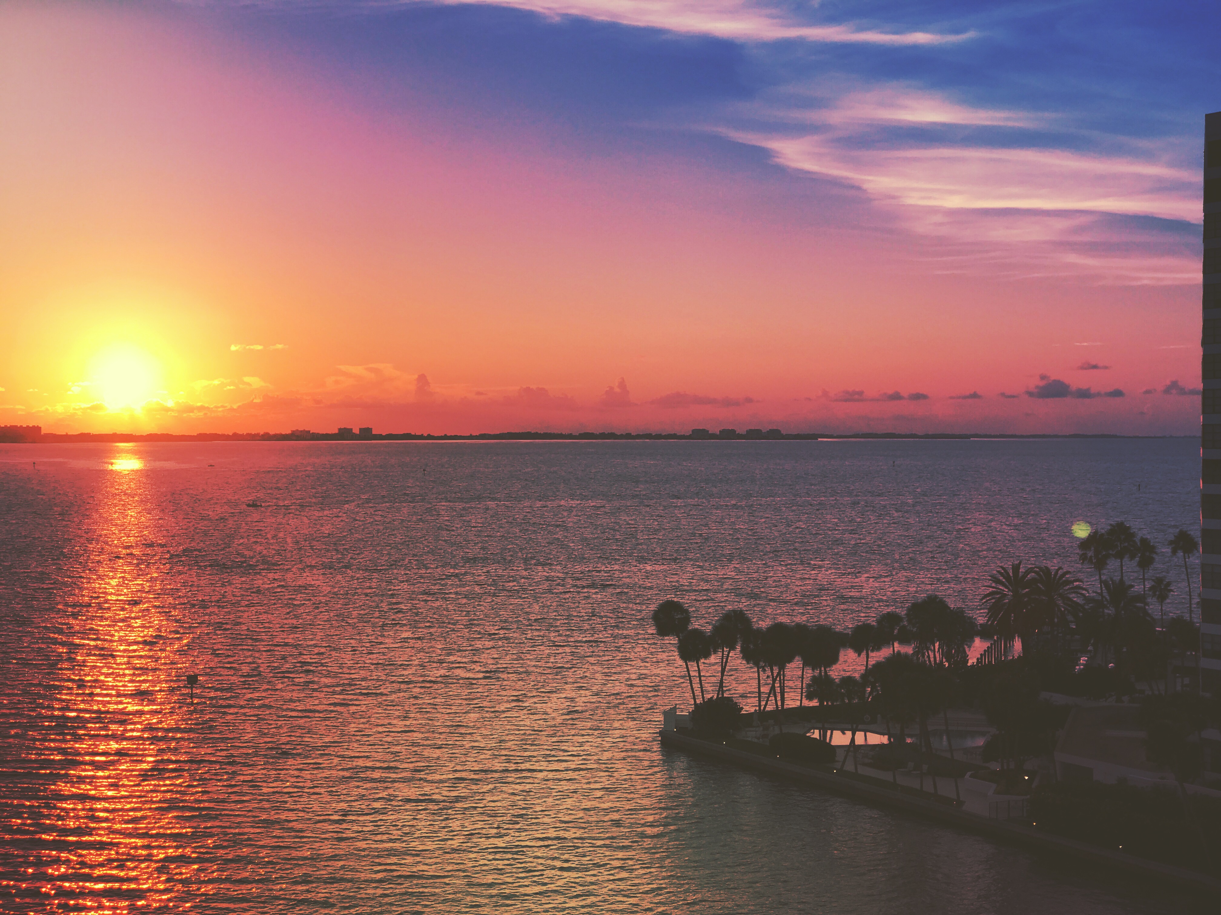 From a social shoot in Sarasota